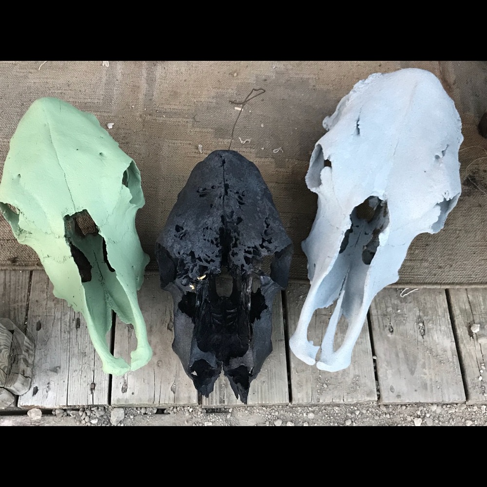Cow decor